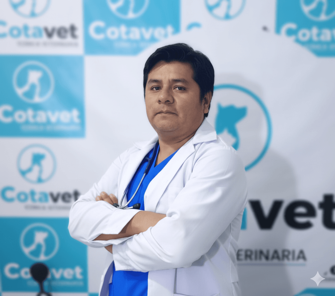 Médico veterinario principal de Centro Veterinario Cotavet atendiendo a un paciente en San Juan de Miraflores